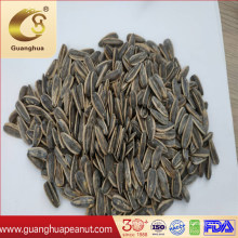 Good Quality Baked Sunflower Seeds Snacks for Exporting